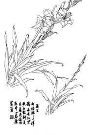 葛兰