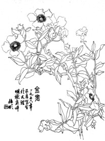 金花