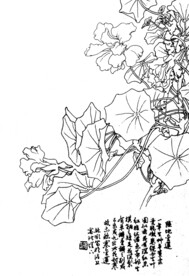 陆地金莲