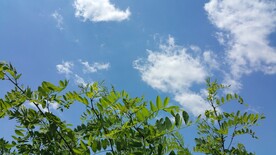 蓝天