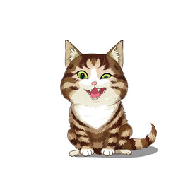 猫              