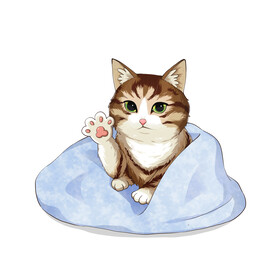 猫              