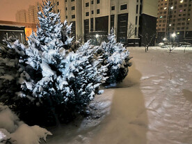 雪景