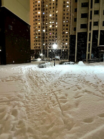 雪景