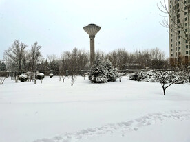 雪景