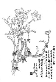 石斛