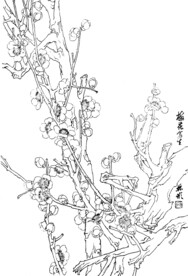 梅花
