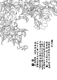 鹰爪花