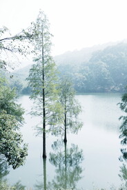 江边河滩江水 