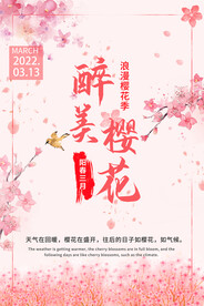 醉美樱花 