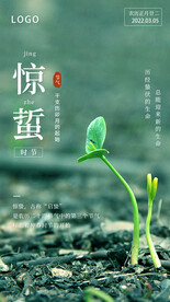 惊蛰