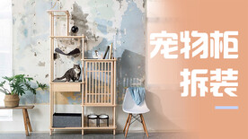 宠物柜banner