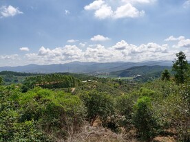 蓝天白云 农村自然森林风景
