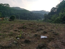 山地丘陵风貌