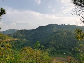 森林风光