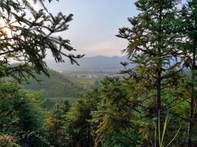 丘陵森林风光