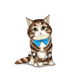 猫              