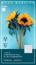 早安