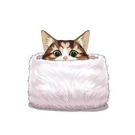 猫              