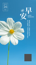 简约鲜花早安海报