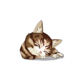猫              