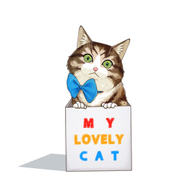 猫              