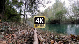 唯美丛林河流美景