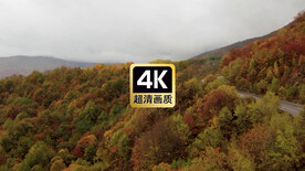 航拍山林道路美景