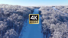 航拍冬日丛林道路美景