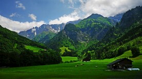 春天风景
