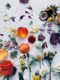 花瓣摄影