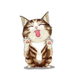 猫              