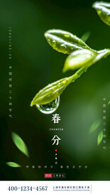 绿色清新创意花朵传统节气海报