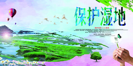 气简约保护湿地公益环保宣传海报