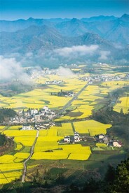 旅游