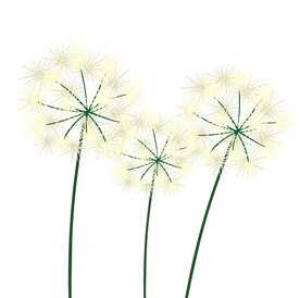 矢量蒲公英