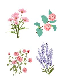 植物元素