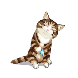 猫              