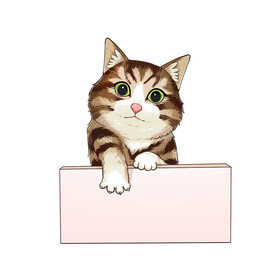 猫              
