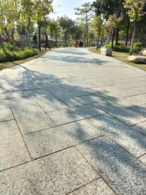 鹿江公园小道