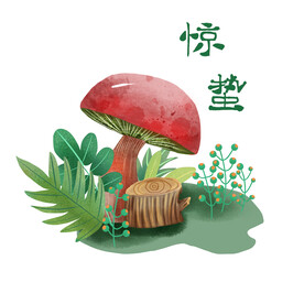 惊蛰儿插