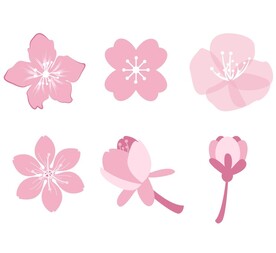 樱花矢量图