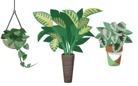 绿植素材