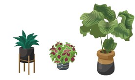 绿植素材