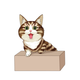 猫              
