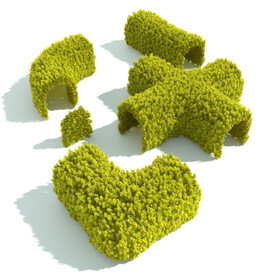 植物篱笆