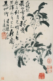 花鸟图 