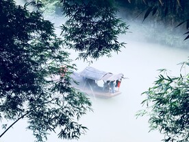 绿植绿叶树叶 