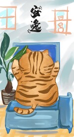 萌主猫            