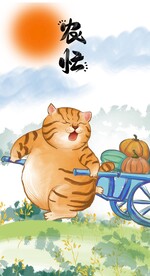 萌主猫            